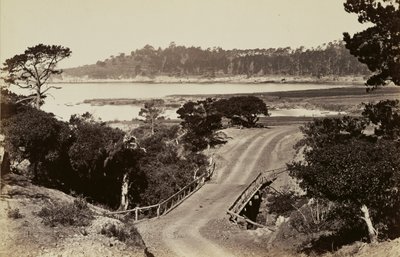 [Vista de la costa cerca de Monterey] de Carleton Watkins