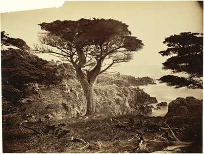  de Carleton Watkins
