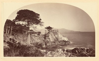  de Carleton Watkins