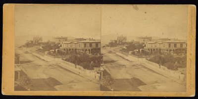 Calle Harrison de Carleton Watkins