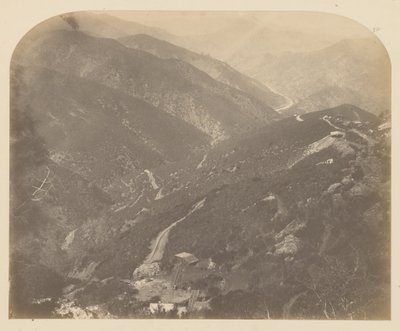 Josefina y el pino de Carleton Watkins
