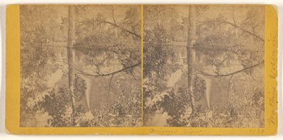 [Mirror View, Yosemite Valley, Mariposa County, Cal.] de Carleton Watkins