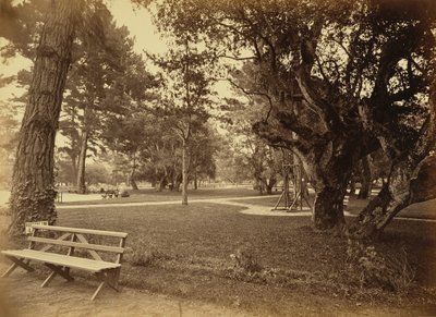 [Monterey, California. Hotel Del Monte, Lawn View]. de Carleton Watkins