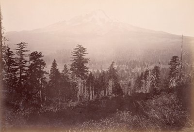  de Carleton Watkins