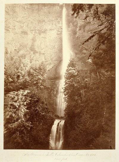  de Carleton Watkins