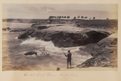  de Carleton Watkins