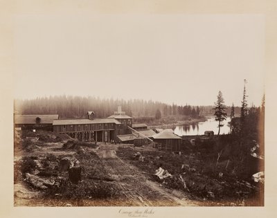  de Carleton Watkins