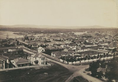  de Carleton Watkins