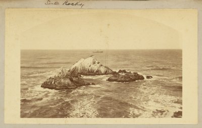 Seal Rocks. de Carleton Watkins