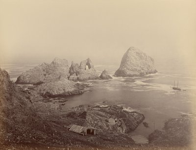 de Carleton Watkins