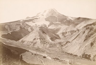  de Carleton Watkins