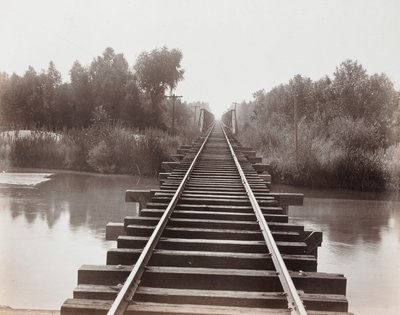  de Carleton Watkins
