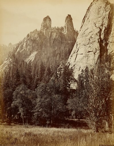  de Carleton Watkins