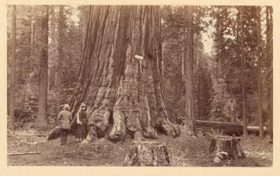  de Carleton Watkins