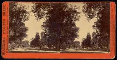 Vista de calle arbolada de San Gabriel, California de Carleton Watkins
