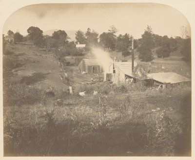  de Carleton Watkins