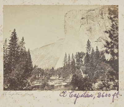 de Carleton Watkins
