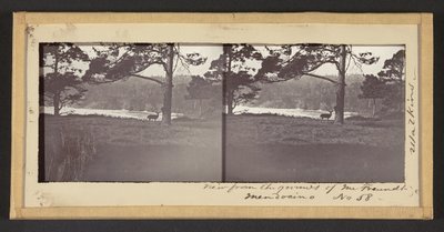 Vista desde los Terrenos del Sr. Freundt, Mendocino de Carleton Watkins