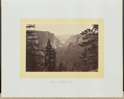  de Carleton Watkins