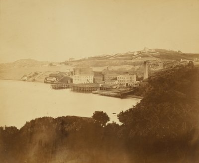 [Fábrica de lana, San Francisco] de Carleton Watkins