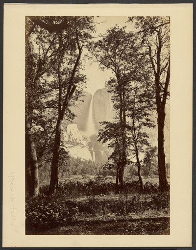  de Carleton Watkins