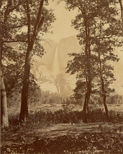  de Carleton Watkins