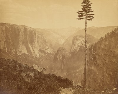 [El valle de Yosemite desde el sendero Mariposa] de Carleton Watkins