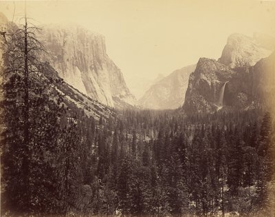  de Carleton Watkins