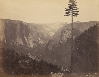 Valle de Yosemite desde la Mejor Vista General de Carleton Watkins