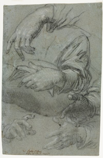 Estudios de manos (recto) de Carletto Caliari