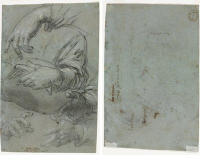 Estudios de manos (recto); Boceto de la cabeza de un niño (verso) de Carletto Caliari