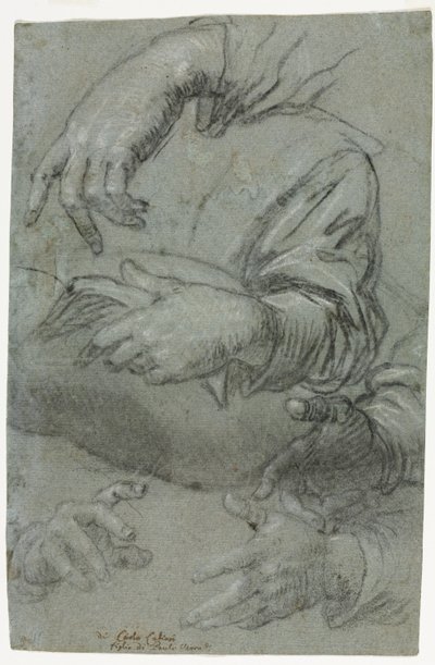 Estudios de manos recto, c. 1586 de Carletto Caliari