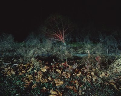 Pintar en la oscuridad, 2011 de Carli Choi