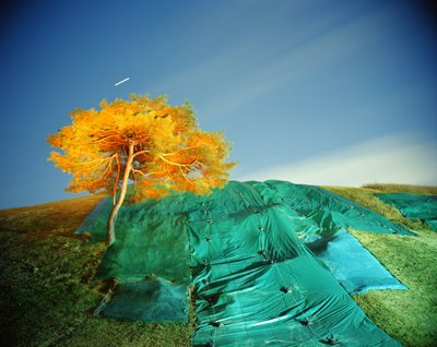Pintar en la oscuridad, 2011 de Carli Choi