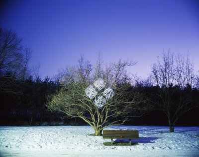 Pintar en la oscuridad, 2012 de Carli Choi