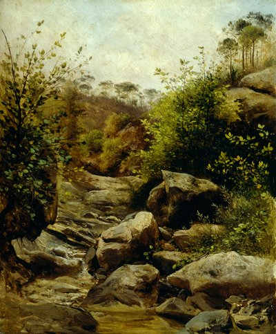 Vista de Scopeti a través de rocas de Carlo Ademollo
