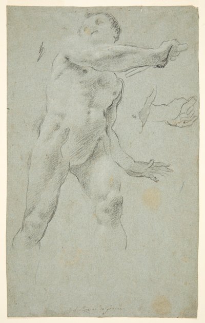 Desnudo Masculino de Carlo Bononi