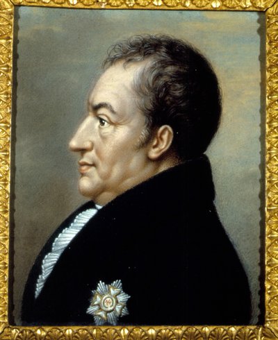 Retrato de Johann Wolfgang Von Goethe (1749 - 1832) por Carlo Bruni. sd. Siglo XIX. Villa Vigoni. Lago de Como. Italia de Carlo Bruni