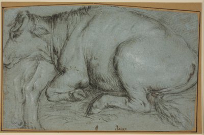 Vaca recostada y estudio de las patas traseras de una vaca de pie de Carlo Caliari