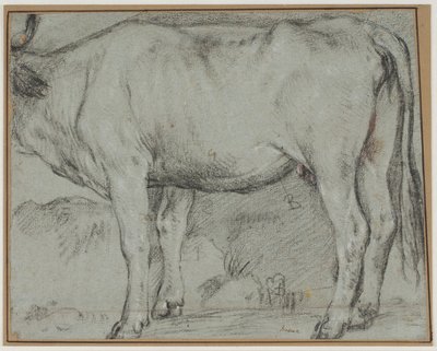 Vaca de pie (sin cabeza) de Carlo Caliari