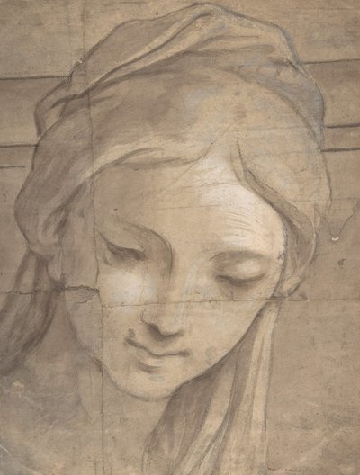Cabeza de una joven en vista de tres cuartos mirando a la izquierda de Carlo Cignani