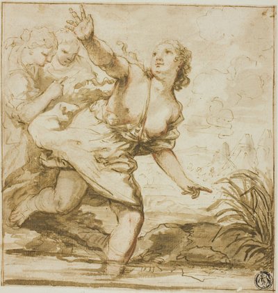 Mujer en vuelo de Carlo Cignani