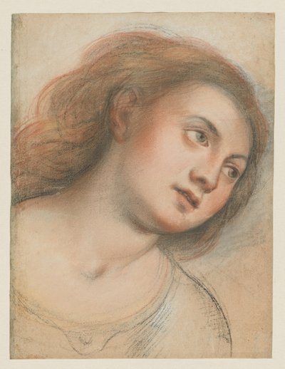 Estudio para cabeza femenina (verso); Cabeza de Cristo (recto) de Carlo Francesco Nuvolone