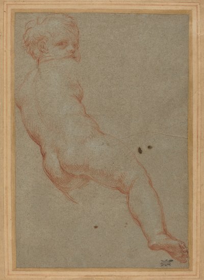 Estudio de un Niño de Carlo Maratta