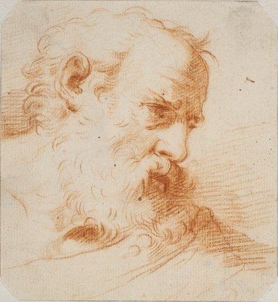 Cabeza de un hombre barbudo mirando a la derecha de Carlo Maratti