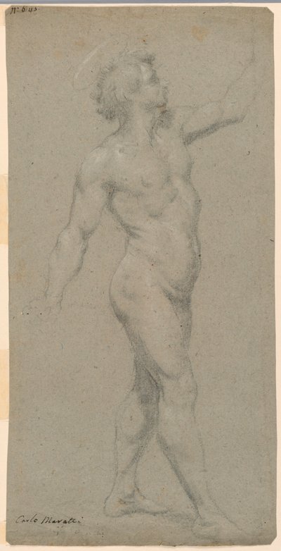 Estudios de un desnudo masculino de Carlo Maratti