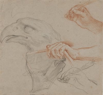 Estudio para una cabeza de águila, tres estudios para una mano con una pluma y un estudio para una mano sosteniendo un libro de Carlo Maratti