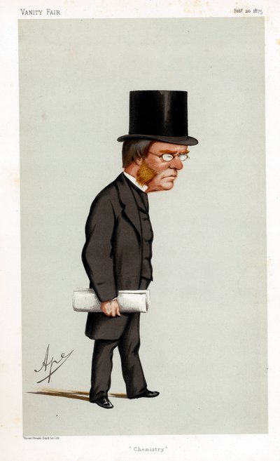 Lyon Playfair, químico, político y administrador escocés, 1875 de Carlo Pellegrini