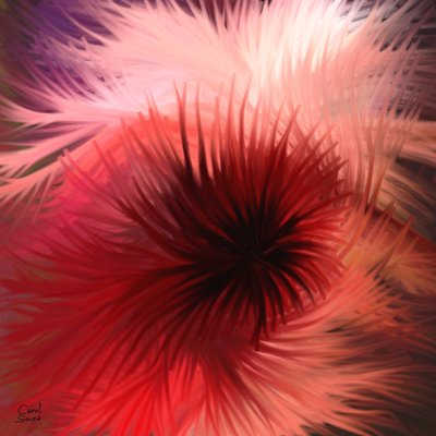 Espiral de luz y color de Carol Sousa Cuello
