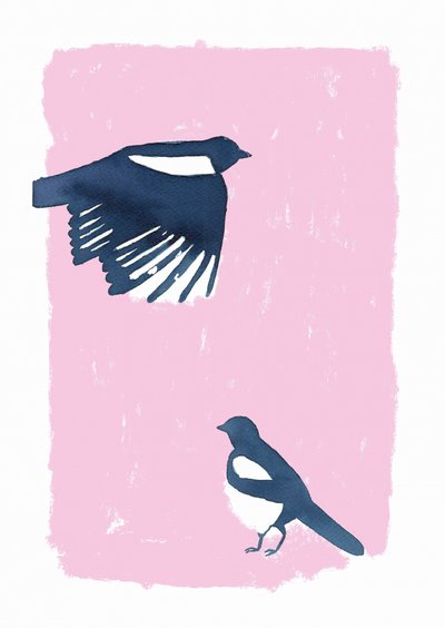 Pink Sky Magpies de Carola Cedell